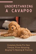 Understanding A Cavapoo: Complete Guide For New Owners, From Adopting, Buying To Raising & Training