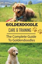 Goldendoodle Care & Training: The Complete Guide To Goldendoodles
