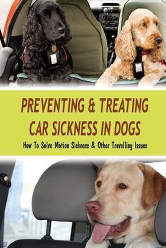 Preventing & Treating Car Sickness In Dogs How To Solve Motion