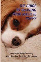 The Guide To Training Your Maltese Puppy: Housebreaking Training And Tips For Training At Home