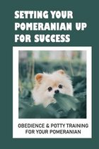 Pomeranian Puppy Training: Top Training Tips And Secrets