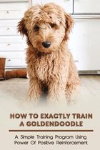 How To Exactly Train A Goldendoodle: A Simple Training Program Using Power Of Positive Reinforcement