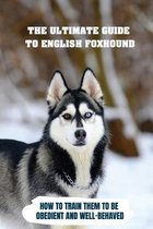 The Ultimate Guide To English Foxhound: How To Train Them To Be Obedient And Well-Behaved