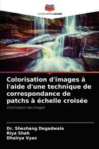 Colorisation d'images a l'aide d'une technique de correspondance de patchs a echelle croisee