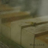 Moulded - Moulded (CD)