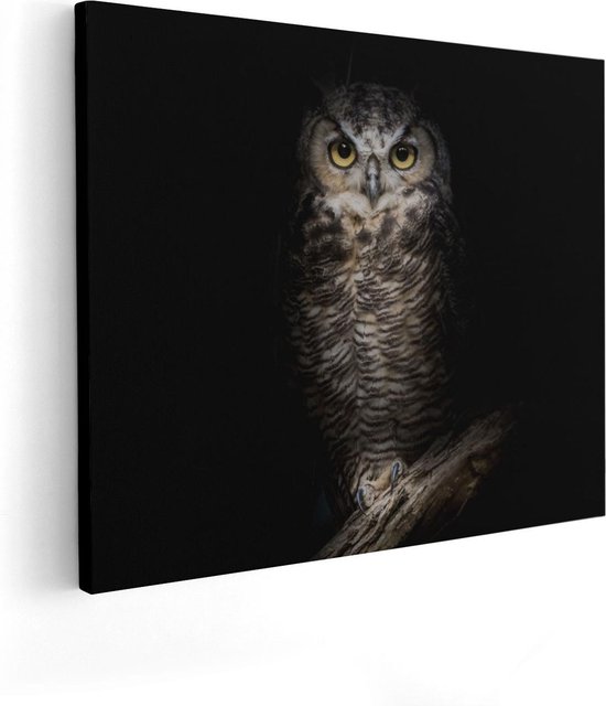 Artaza Canvas Schilderij Uil Op Een Tak In De Nacht - 50x40 - Foto Op Canvas - Canvas Print