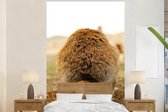 Papier peint - Papier peint photo Lapin - Animal - Fourrure - Largeur 145 cm x hauteur 220 cm