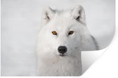 Stickers Stickers muraux - Loup - Wit - Neige - 60x40 cm - Feuille adhésive