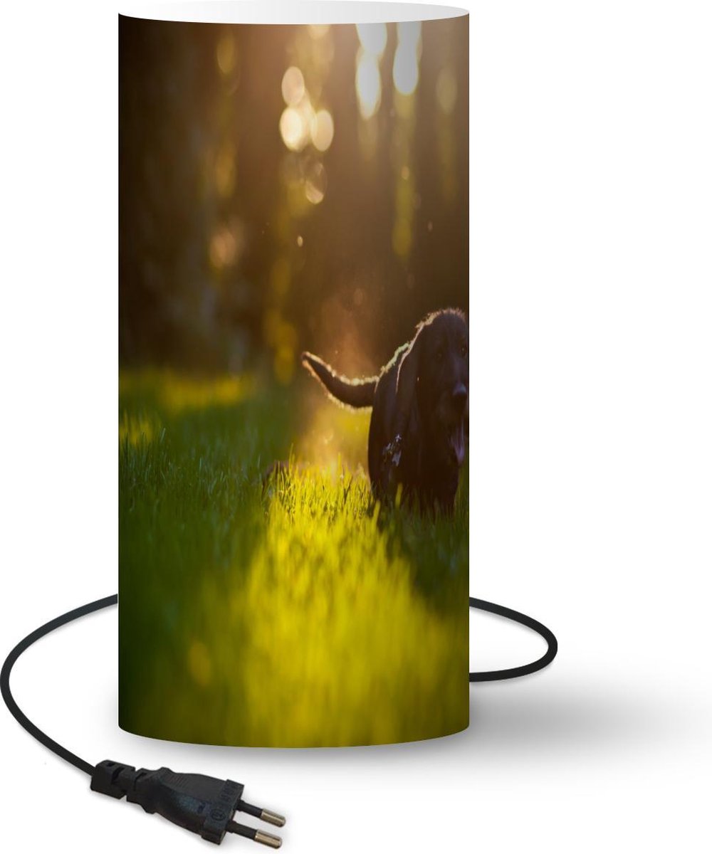 Lamp - Nachtlampje - Tafellamp slaapkamer - zonnestralen over een zwarte puppy - 54 cm hoog - Ø24.8 cm - Inclusief LED lamp