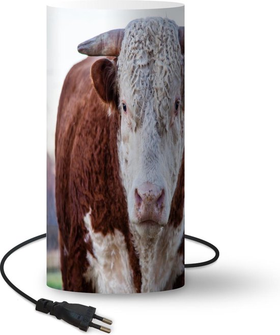 Jambo Mooie lamp van 40,6 cm, blauw met geel/groene was, ontspannend Jambo Mooie lamp van 40,6 cm, blauw met geel/groene was, ontspannend