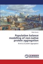 Population balance modelling of non-native protein aggregation