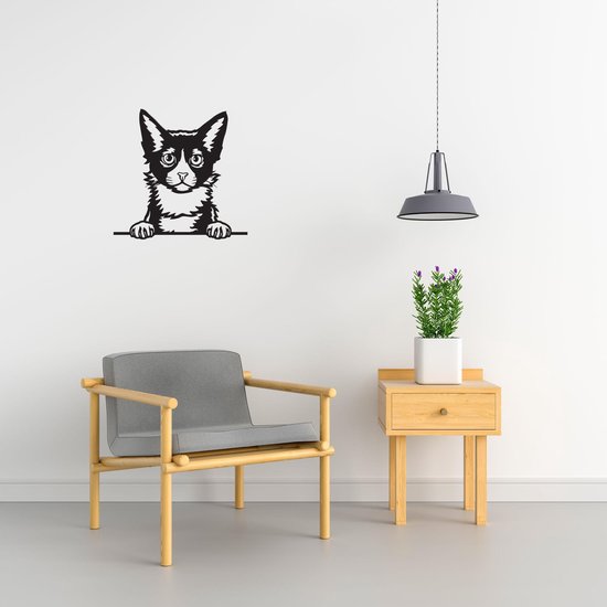 LaPerm - Chat - Femelle - M - 60x61cm - Zwart - décoration murale