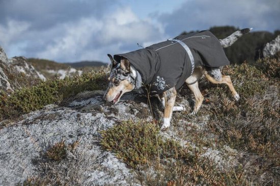 Hurtta Extreme Warmer Blackberry | Hond | Bestel