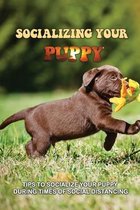 Socializing Your Puppy: Tips To Socialize Your Puppy During Times Of Social Distancing