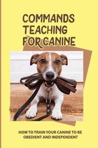 Commands Teaching For Canine: How To Train Your Canine To Be Obedient And Independent