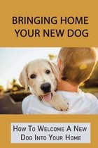 Bringing Home Your New Dog: How To Welcome A New Dog Into Your Home
