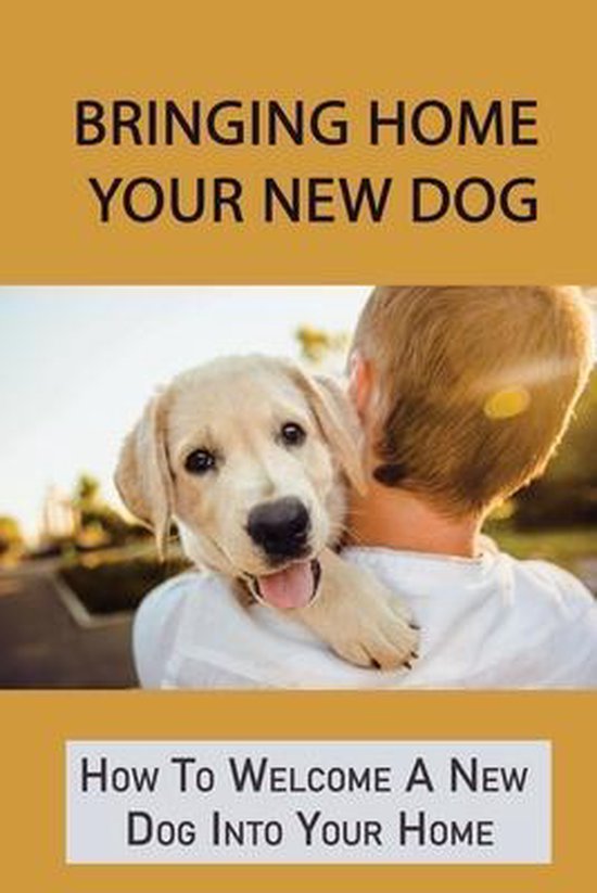 Bringing Home Your New Dog How To Welcome A New Dog Into Your Home 