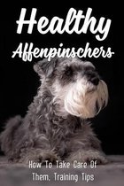 Healthy Affenpinschers: How To Take Care Of Them, Training Tips