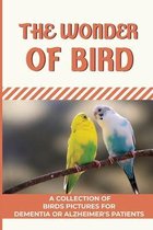 The Wonder Of Birds: A Collection Of Birds Pictures For Dementia Or Alzheimer's Patients