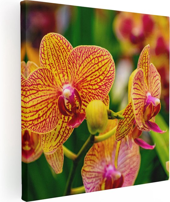 Artaza Canvas Schilderij Geel Rode Orchidee Bloemen - 70x70 - Foto Op Canvas - Canvas Print
