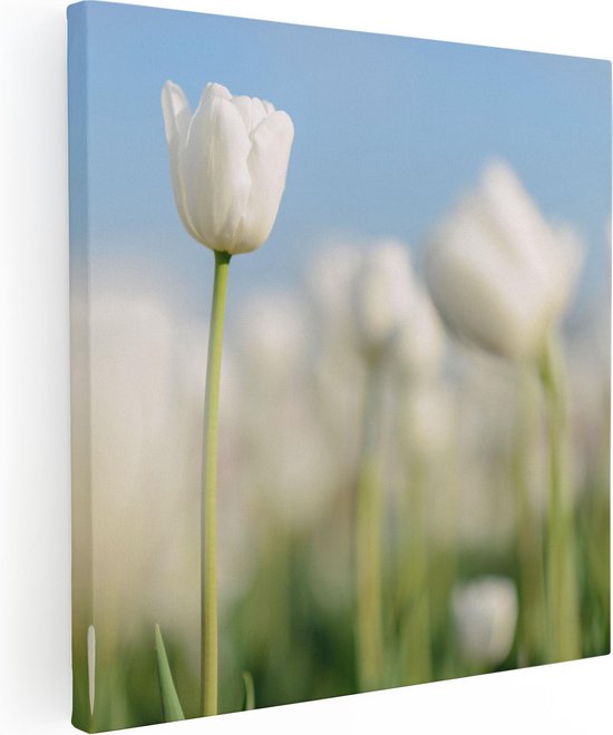 Artaza Canvas Schilderij Witte Tulpen - Bloemen - 30x30 - Foto Op Canvas - Canvas Print