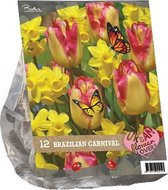 Plantenwinkel Urban Flowers Brazilian Carnaval bloembollen per 12 stuks