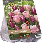 Plantenwinkel Urban Flowers Dancing queen bloembollen per 15 stuks