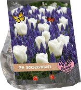 Plantenwinkel Urban Flowers Borders Beauty bloembollen per 25 stuks