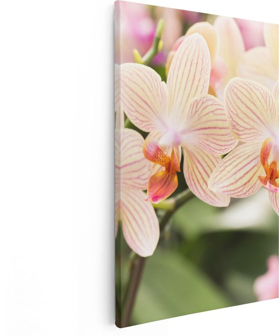 Artaza - Canvas Schilderij - Gestreepte Witte Orchidee Bloemen - Foto Op Canvas - Canvas Print