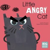 A Big Emotions Book- Little Angry Cat