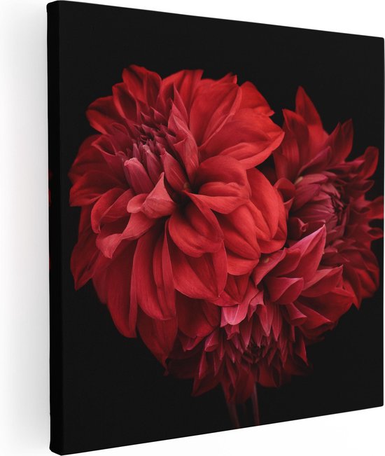 Artaza Canvas Schilderij Rode Dahlia Bloemen - 80x80 - Groot - Foto Op Canvas - Canvas Print