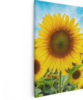 Artaza - Peinture sur toile - Champ de tournesols - 40 x 60 - Photo sur toile - Impression sur toile