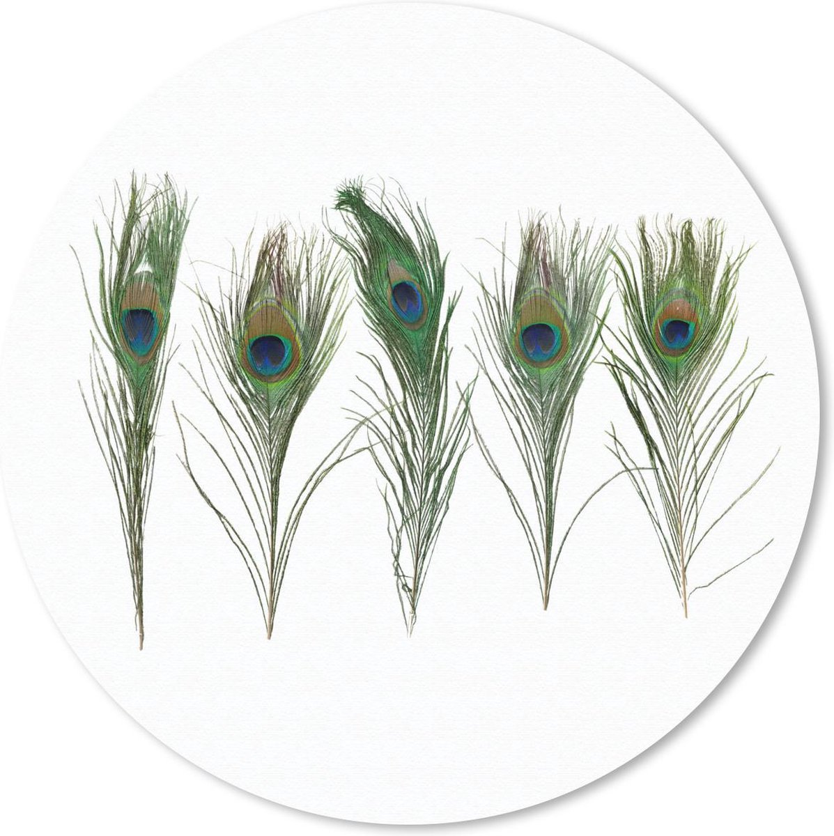 Muismat rond 40x40 cm - Mousepad Pauwenveren - Wit - Groen - Ronde muismatten