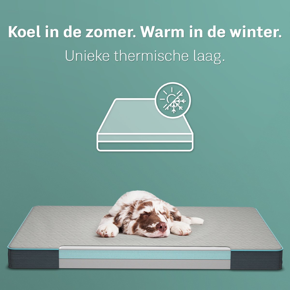 CozySense orthopedisch hondenkussen XL 100 x 70 cm thumbnail 4