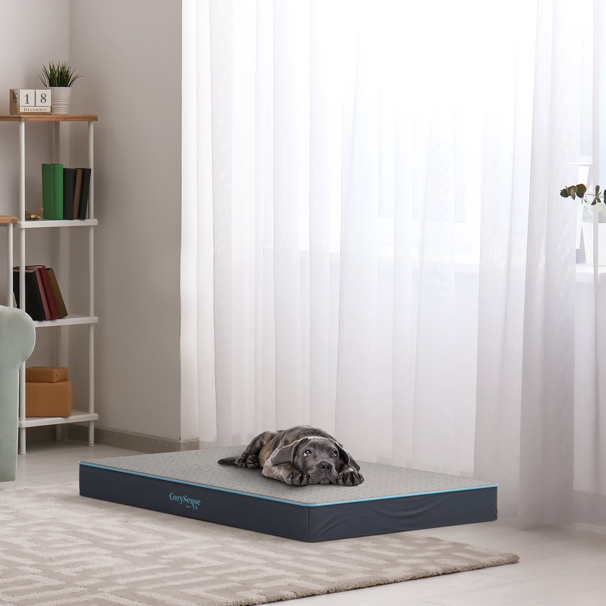 CozySense orthopedisch hondenkussen XL 100 x 70 cm thumbnail 6