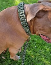 Stevige hondenriem, incl. halsband - Legergroen - Maat XL - geschikt voor grote/zware honden - Nylon gevlochten