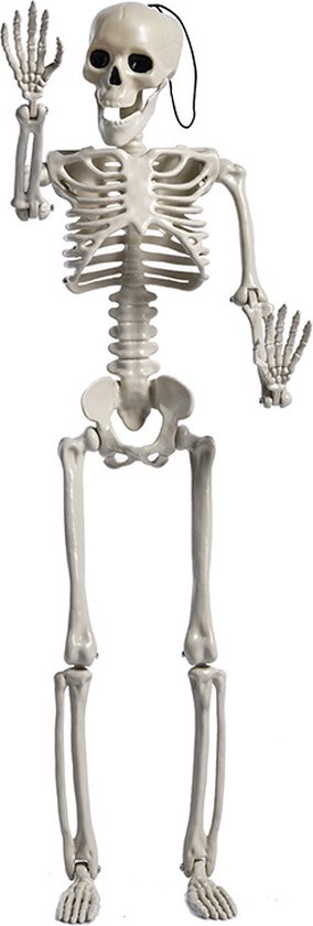 Hangdecoratie skelet - Halloween decoratie - Versiering voor binnen en buiten - Horror - Verstelbaar - 40 cm - Wit
