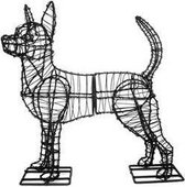 Hond Chihuahua - Frame