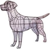Hond Labrador Retriever - Frame