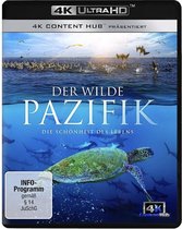 Der wilde Pazifik - Die Schönheit des Lebens 4K/UHD