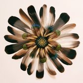 Feather Of Life- Kristal Helder Galerie kwaliteit Plexiglas 5mm. - Blind Aluminium Ophang-frame - Luxe wanddecoratie - Fotokunst - professioneel verpakt en gratis bezorgd