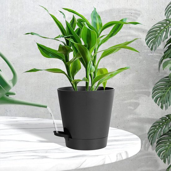 Pot d'orchidée, pot de plantes unique avec trous de drainage et