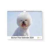 Kalender 2024 - Bichon Frise - 35x24cm - 300gms - Spiraalgebonden - Inclusief ophanghaak