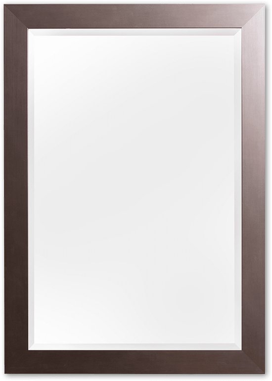 Moderne Spiegel 102x132 cm RVS - Betty