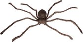 Giant Spider - Grote Spin - Halloween Decoratie - Bruin - One Size