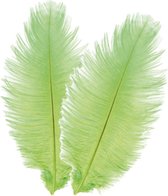 Chaks Struisvogelveren/sierveren - 2x - lime groen - 30-35 cm - decoratie/hobbymateriaal