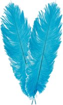 Chaks Pieten struisvogelveer/sierveer - 2x - turquoise - 55-60 cm - decoratie/hobbymateriaal