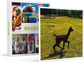 Bongo Bon - DAGJE UIT MET ALPACA’S IN ZEELAND: MEET & FEED, SPEL EN FILM VOOR 2 - Cadeaukaart cadeau voor man of vrouw