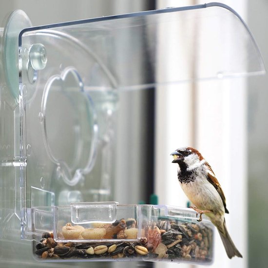 Mangeoire à oiseaux en acrylique, fenêtre transparente avec