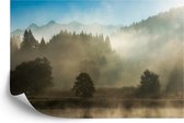 Fotobehang Bos In Mist